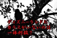 ディズニーランドの都市伝説 カラスがいない理由は超音波とキャストの努力 マジマジ情報局