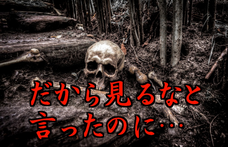 検索してはいけない言葉が怖い Posoやコトリバコ トリトドンとは マジマジ情報局